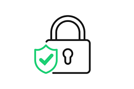 Security and Privacy Icon